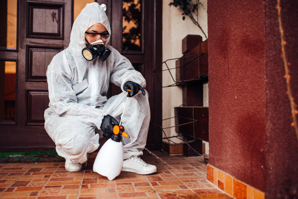 Reliable Bed Bug Control contractor in Alamo Heights, TX by Nex Pest Control