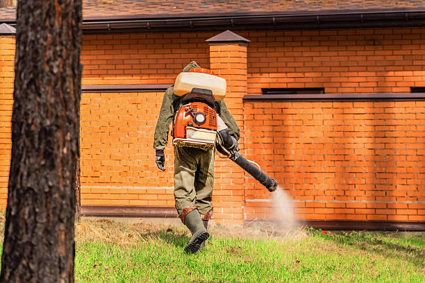 Trusted Emergency Pest Control service in Alamo Heights, TX - Nex Pest Control